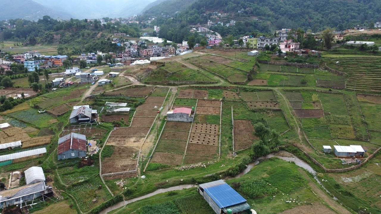Land For sale at Jharuwarasi | Lalitpur